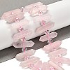 Natural Rose Quartz Double Terminated Point Beads Strands G-H069-B17-01-2