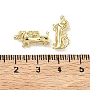 Brass Pendants LS-KK-G555-01G-02-3