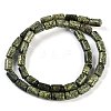 Natural Serpentine/Green Lace Stone Beads Strands G-H064-B01-01-3