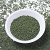 MIYUKI Delica Beads LS-X-SEED-J020-DB1135-2