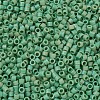 MIYUKI Delica Beads SEED-X0054-DB0877-3