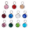 10Pcs Glass Rhinestone Charms STAS-TA0003-26H-2