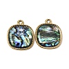 304 Stainless Steel & Natural Paua Shell Pendants SH-CBA7184-01A-G-1