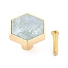 Hexagon with Marble Pattern Brass Box Handles & Knobs LS-DIY-P054-C01-1