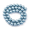 Shell Pearl Beads Strands BSHE-K015-10mm-02-4