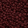 TOHO 6/0 Round Beads SEED-XTR06-0046F-4