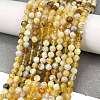 Natural Yellow Opal Beads Strands G-L597-C05-02-2