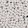 Glass Seed Beads SEED-T007-01B-3