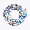 Glass Beads Strands X-GLAA-T006-16E-2