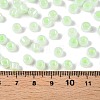 Glass Seed Beads SEED-T008-01D-5