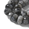 Faceted Natural Labradorite Rondelle Beads Strands G-K090-02-2