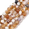 Natural Fire Crackle Agate Beads Strands G-C082-A01-33-2