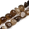 Natural Agate Beads Strands G-L630-F01-01D-2