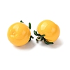 Imitation Vegetable Resin Pendants RESI-K033-03B-01-2