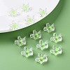Transparent Acrylic Beads LS-MACR-S373-105-B06-7