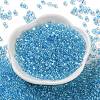 Glass Seed Beads SEED-L011-05B-13-2