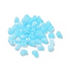 Acrylic Beads OACR-C013-09E-1