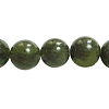 Olive Z0NCT015-1