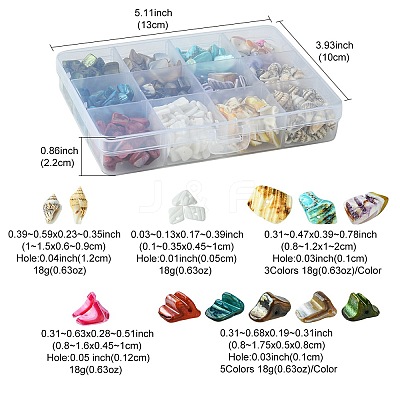198G 11 Styles Natural Mixed Shell Beads Sets BSHE-FS0001-05-1