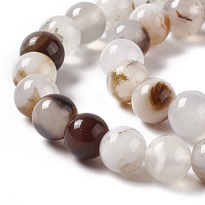 Natural Dendritic Agate Beads Strands X-G-C011-01B-1
