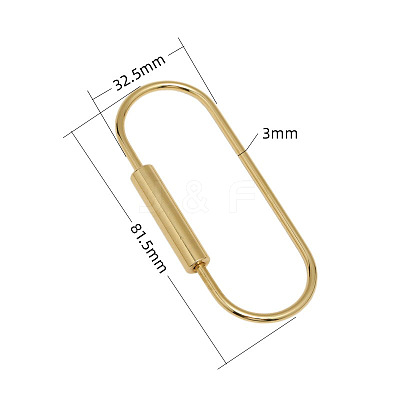 Brass Screw Carabiner Lock Charms KK-ZX025-64C-1