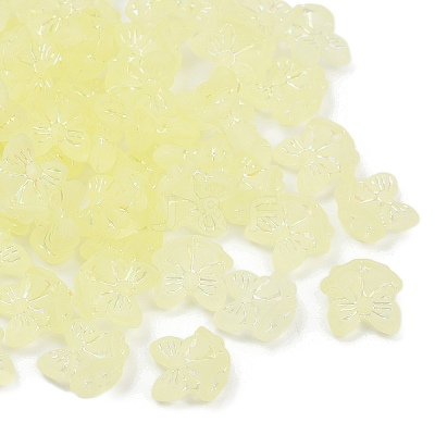 Frosted Transparent Acrylic Beads X1-OACR-P029-18B-03-1