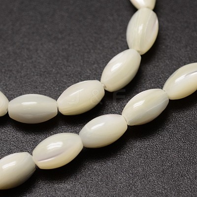 Natural Trochid Shell/Trochus Shell Beads Strands X-SSHEL-K008-06-1