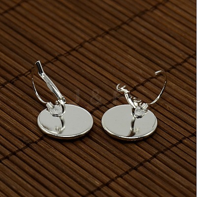 Clear Domed Glass Cabochon Cover and Brass Leverback Earring Settings for DIY DIY-X0160-S-RS-1