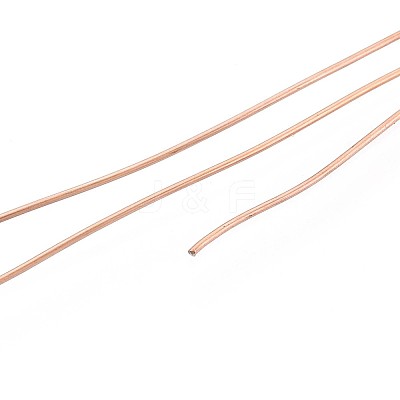 10M 304 Stainless Steel Wire TWIR-N005-0.5mm-RG-1