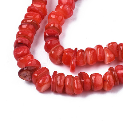 Natural Trochid Shell/Trochus Shell Beads Strands SHEL-S258-081-B06-1