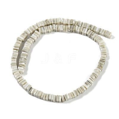 Handmade Lampwork Beads Strands LAMP-Q037-02B-18-1