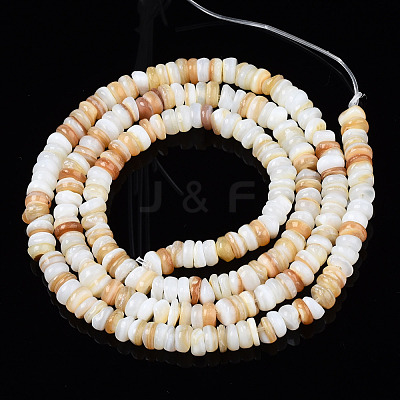 Natural Freshwater Shell Beads Strands SHEL-S278-067-1
