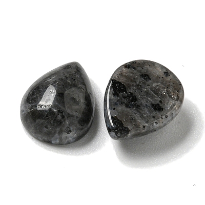 Natural Larvikite Cabochons G-Q173-02C-05-1