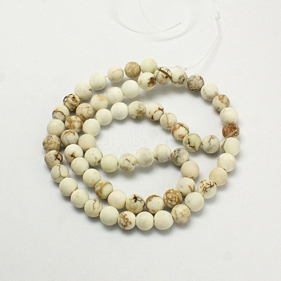 Natural Magnesite Beads Strands TURQ-P027-8mm-18B-1
