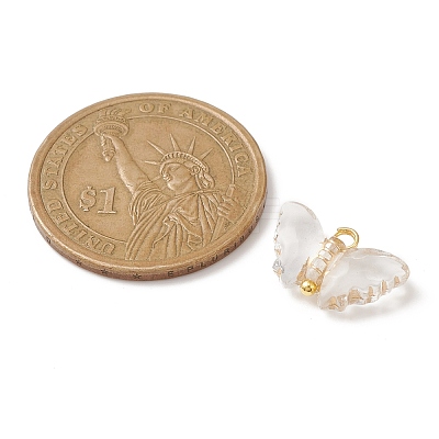 Plating Transparent Acrylic Pendants PALLOY-JF02202-1