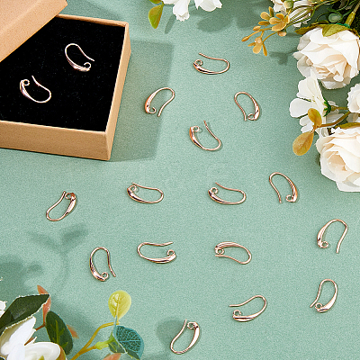 40Pcs Brass Earring Hooks KK-FH0007-64G-1