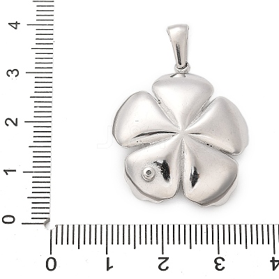 304 Stainless Steel Pendants STAS-Q349-01A-P-1