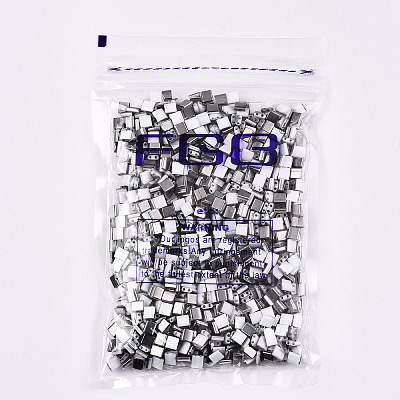 FGB 2-Hole Glass Seed Beads SEED-S031-L-ST41-H-1