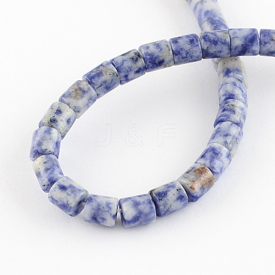 Natural Blue Spot Jasper Bead Strands X-G-R187-06-1