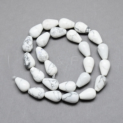 Natural Howlite Gemstone Bead Strands X-G-T004-19-1