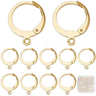 120Pcs 304 Stainless Steel Leverback Earring Findings STAS-SC0006-28G-1