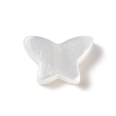 Natural White Shell Beads BSHE-G031-05-1