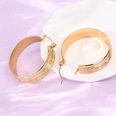 304 Stainless Steel Hoop Earrings for Women SA-CBA4160-24G-1