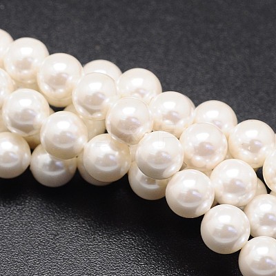 Shell Pearl Beads Strands X-BSHE-E008-12mm-12-1