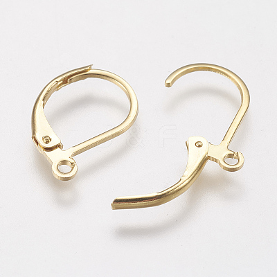 304 Stainless Steel Leverback Earring Findings X-STAS-F141-03G-1