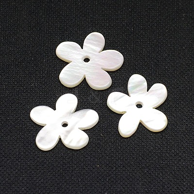 Natural White Shell Beads X-SSHEL-I008-03-1