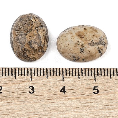 Natural Picture Jasper Cabochons G-Q186-01B-1
