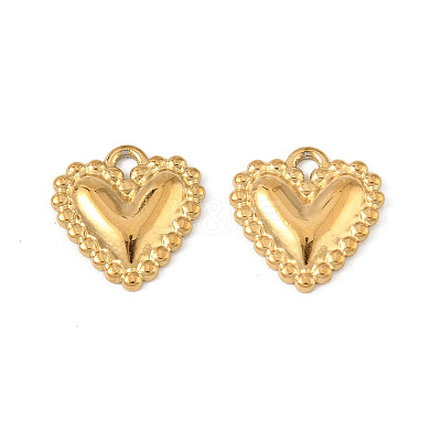 304 Stainless Steel Charms X-STAS-P396-06G-1
