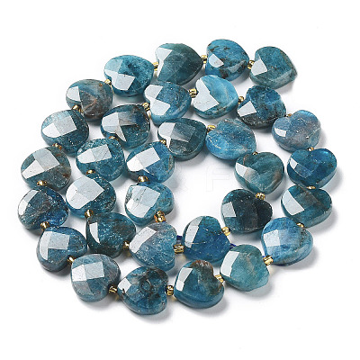 Natural Apatite Beads Strands G-B044-B06-01-1