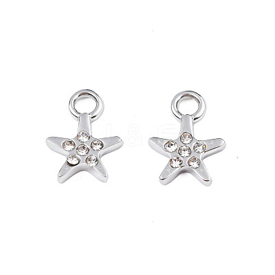 304 Stainless Steel Charms STAS-N095-143-1